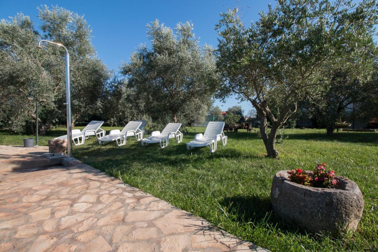 Wine House Apartments & Rooms Marceta Fažana Exterior foto